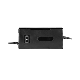 Зарядний пристрій для акумуляторів LiFePO4 24V (29.2V)-7A-168W 19298 фото